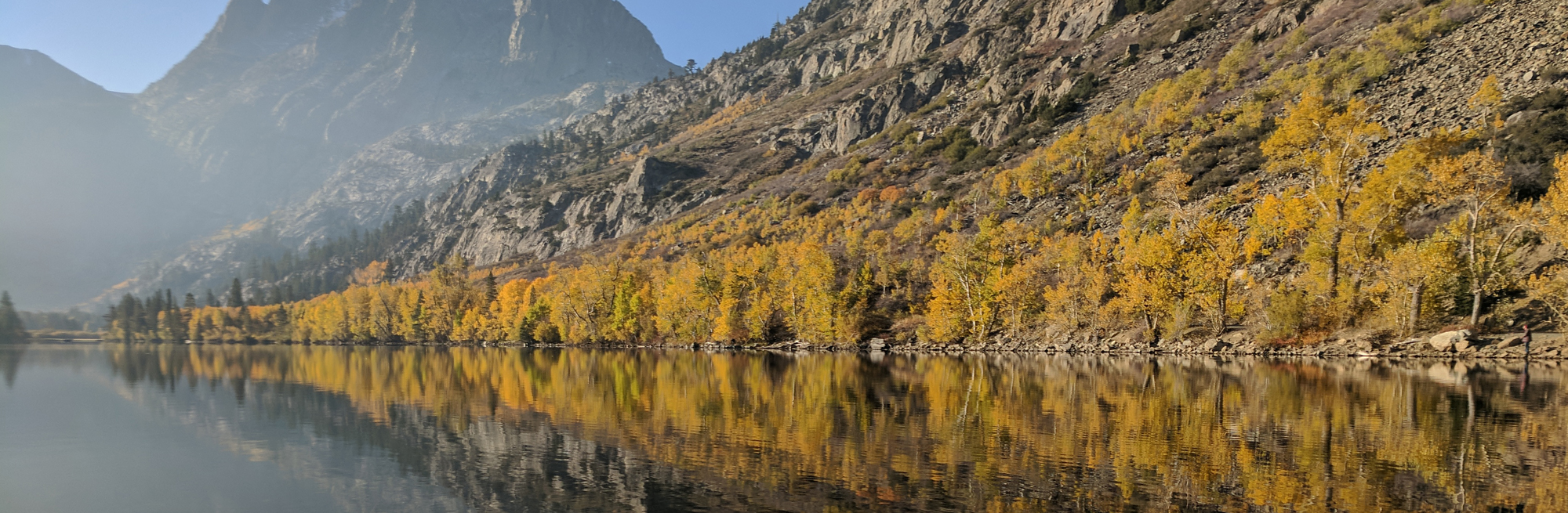 Fall Colors